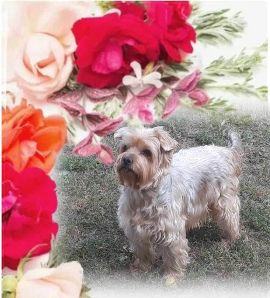 Condolence image of Ewa & Krzysztof 