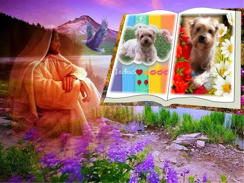 Condolence image of Boże Ciało❤️⭐️