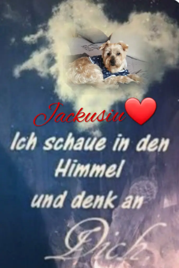 Condolence image of ⭐❤Gute Nacht Jackusiu❤⭐