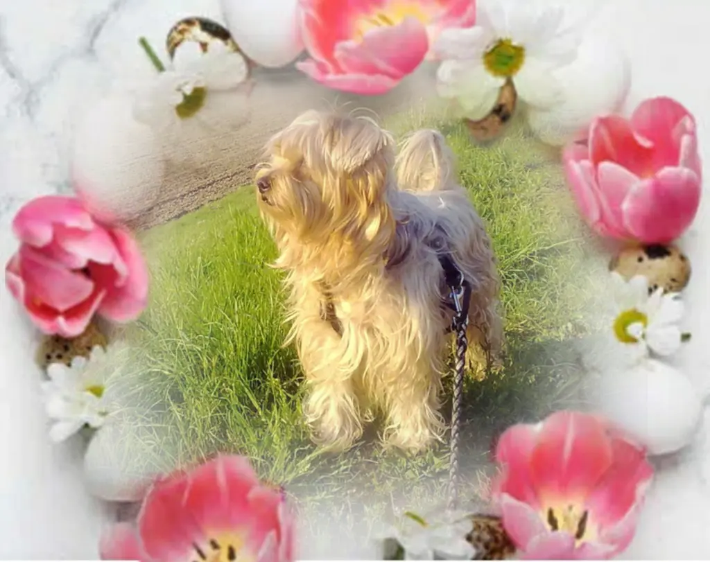 Condolence image of Ewa & Krzysztof 