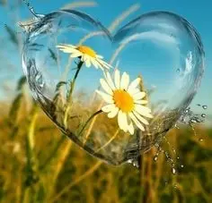 Condolence image of ❤️