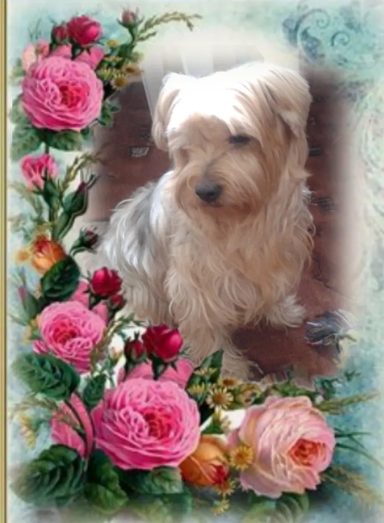 Condolence image of Ewa & Krzysztof