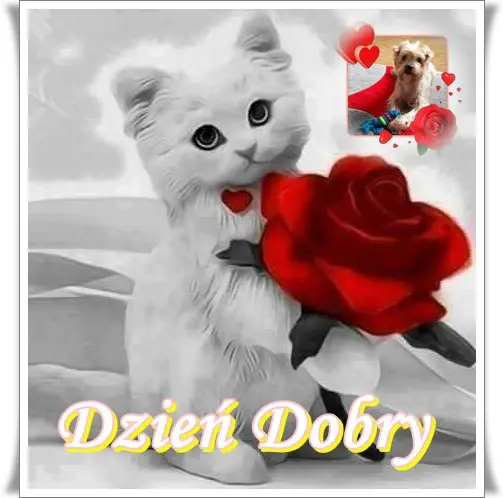 Condolence image of 32 Tygodnie.....Bez Ciebie❤️⭐️Jackusiu❤️⭐️