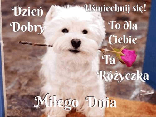 Condolence image of ❤️❤️❤️❤️❤️❤️❤️❤️❤️❤️❤️❤️