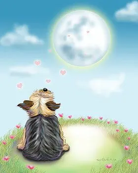 Condolence image of Martina mit Seelenhund Samy ♥️⭐♥️ für immer im Herzen 