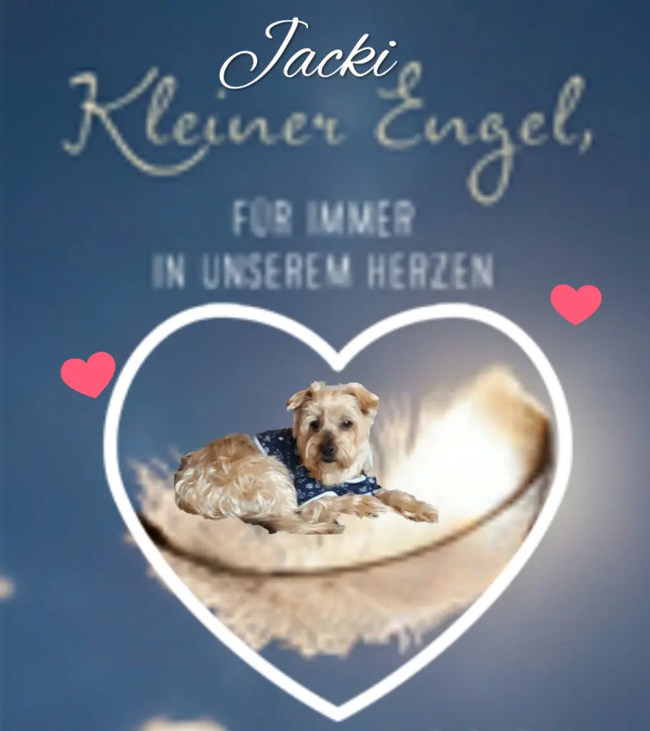 Condolence image of ⭐❤Gute Nacht Jackusiu❤⭐