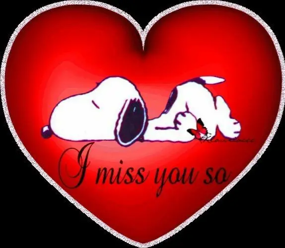 Condolence image of Martina mit Seelenhund Samy ♥️⭐♥️ für immer im Herzen 