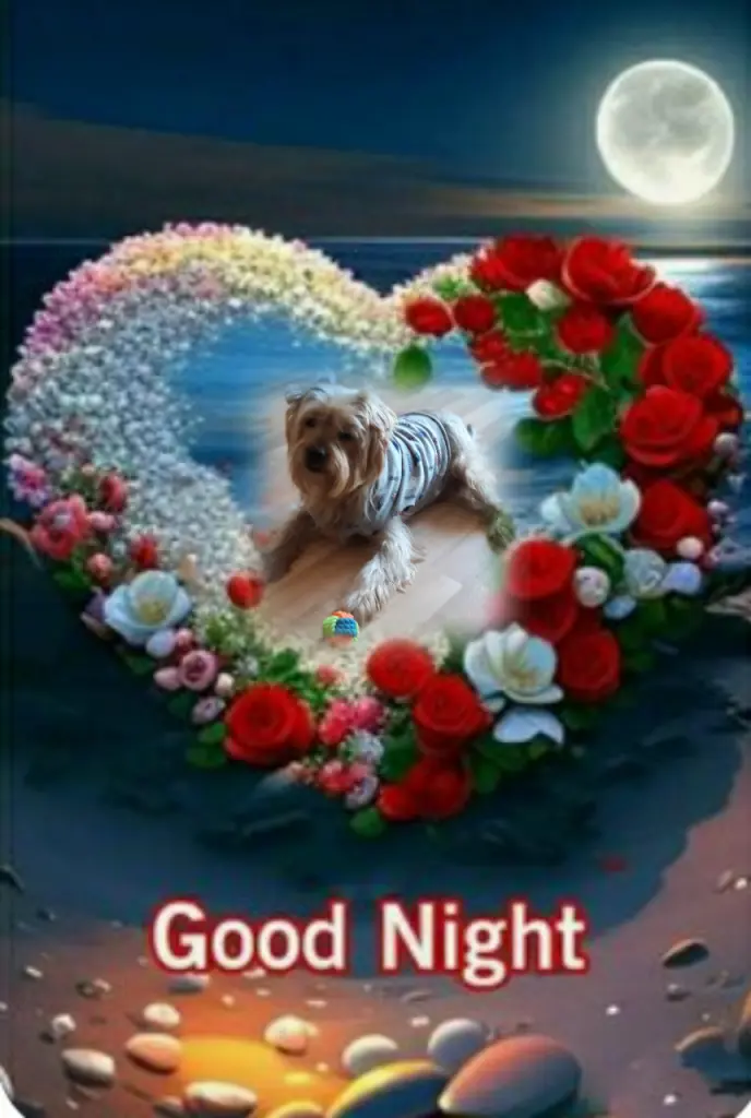 Condolence image of ⭐❤ Gute Nacht Jackusiu❤⭐