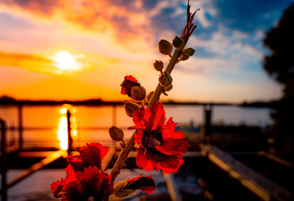 Condolence image of ♥️