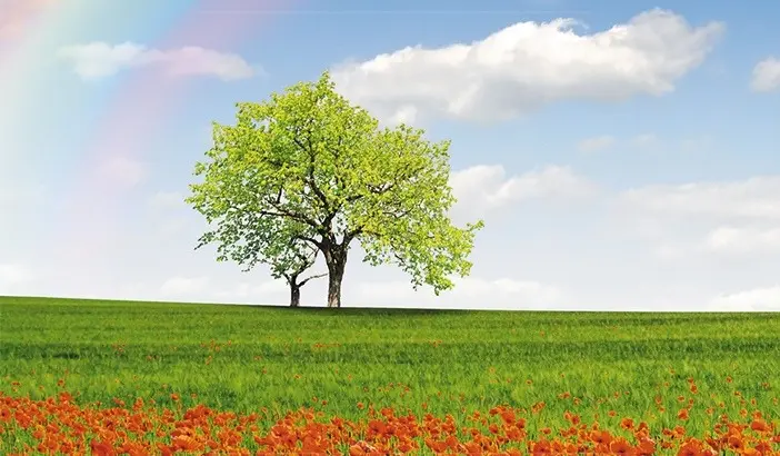 Condolence image of Gaby mit Snowy *im Herzen 