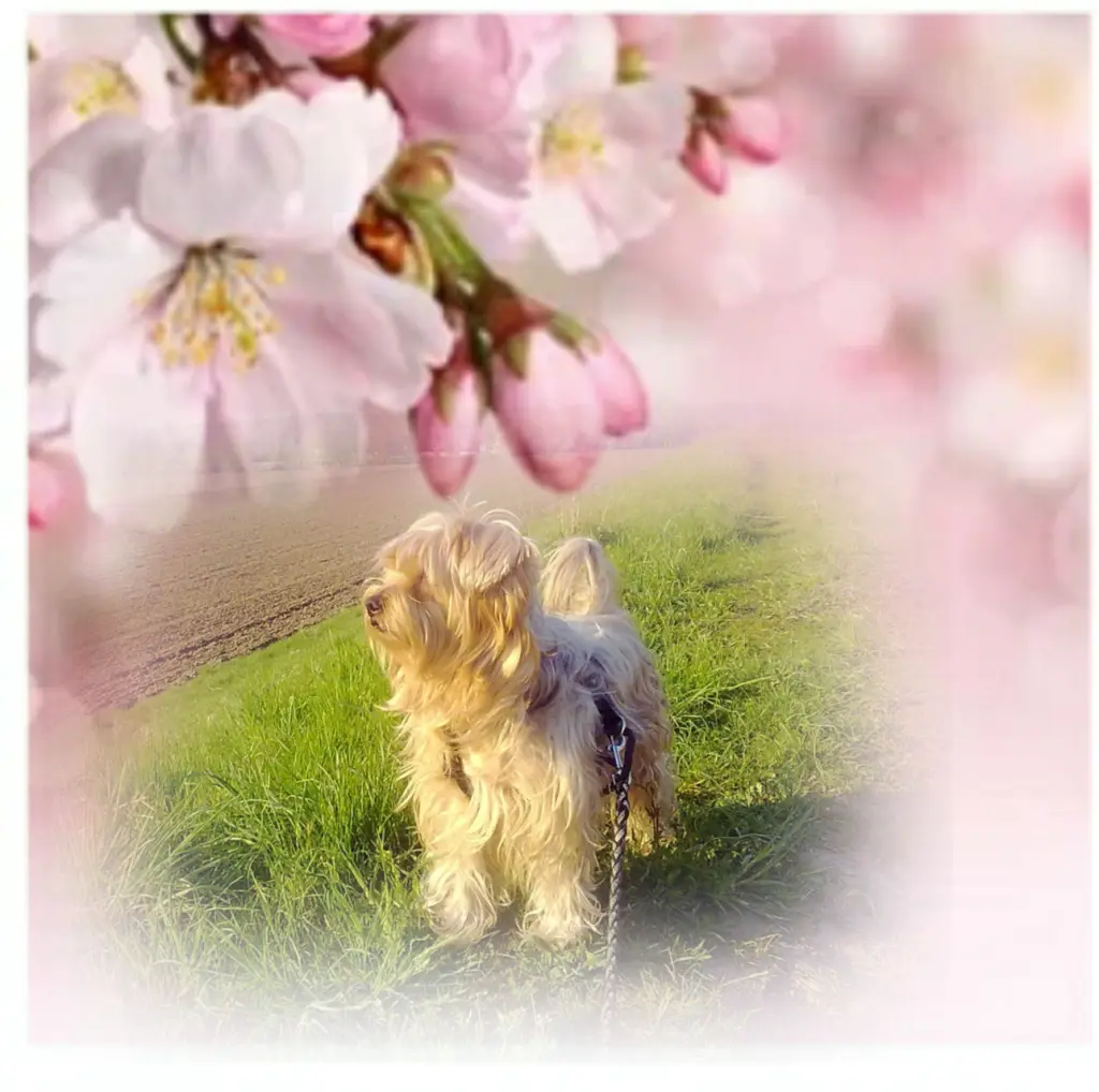 Condolence image of Ewa & Krzysztof 