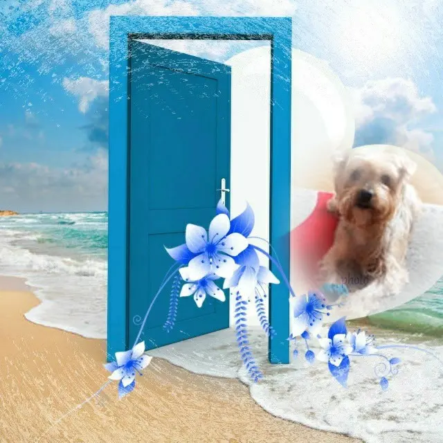 Condolence image of ❤️❤️❤️❤️❤️❤️❤️❤️❤️❤️❤️❤️