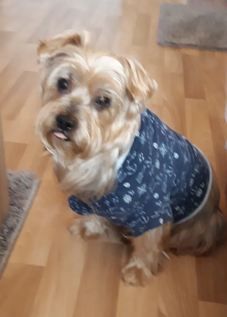 Condolence image of Ewa & Krzysztof