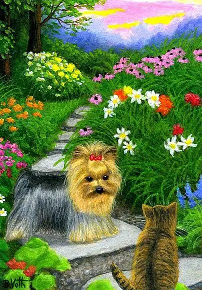 Condolence image of Martina mit Seelenhund Samy ♥️⭐♥️ für immer im Herzen