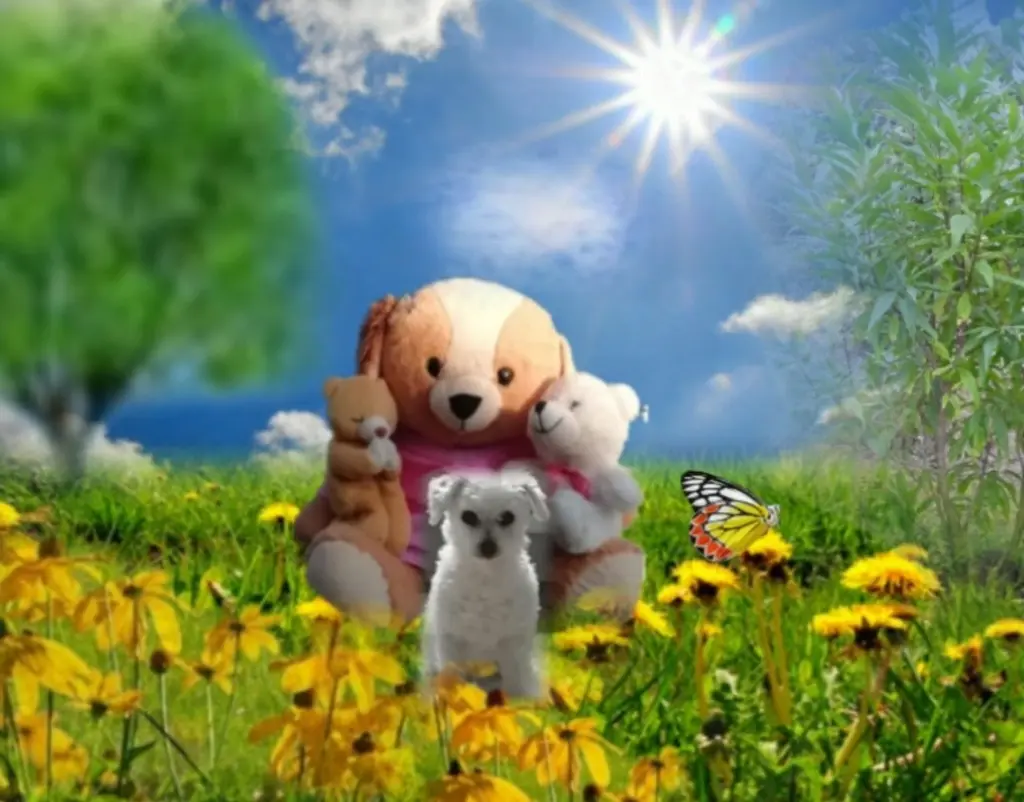 Condolence image of sunshine❤️ on cloudy*days