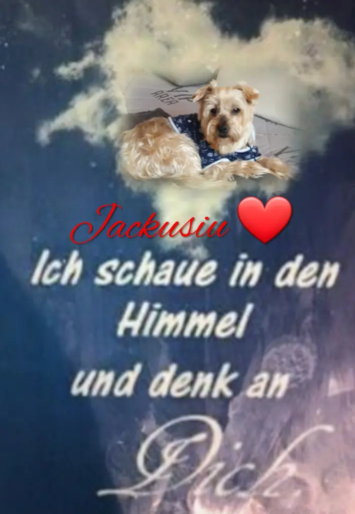 Condolence image of ⭐❤Gute Nacht Jackusiu❤⭐