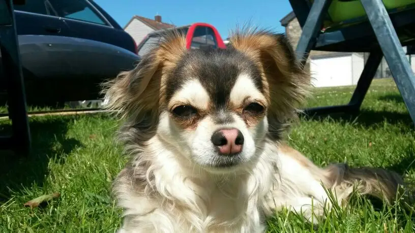 Condolence image of Ina Erberich