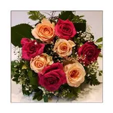 Condolence image of Snoopy ❤Pünktchen