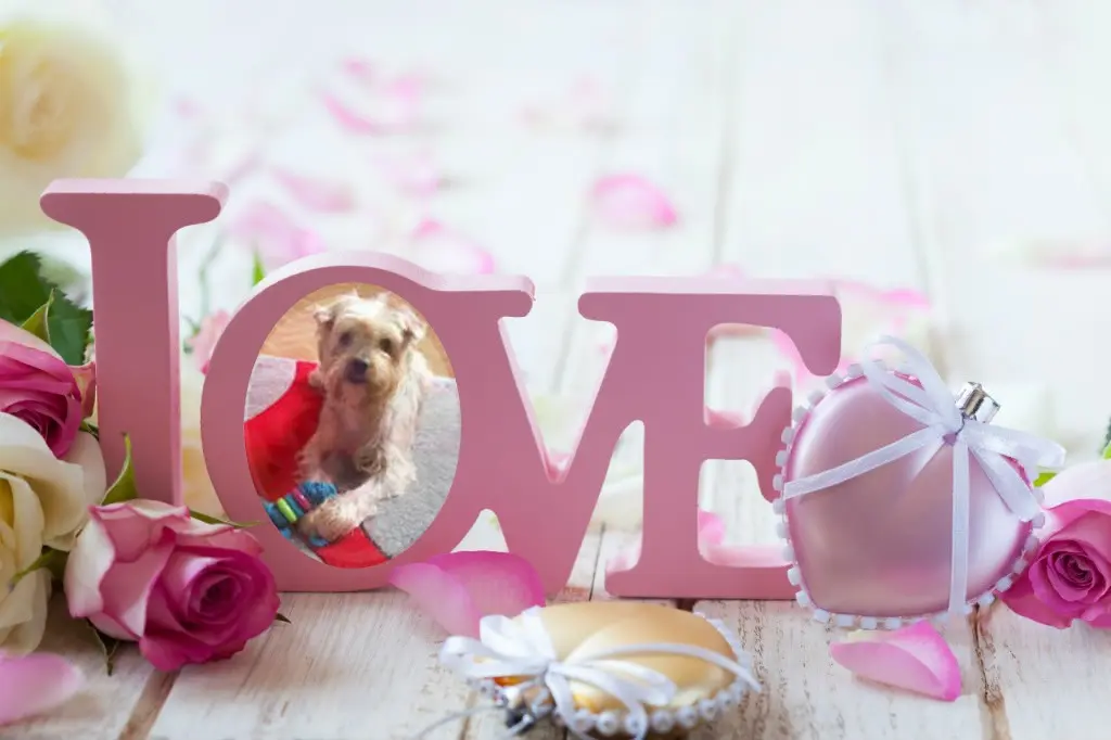 Condolence image of 34. Tygodnie.......Bez Ciebie❤️⭐️Jackusiu❤️⭐️