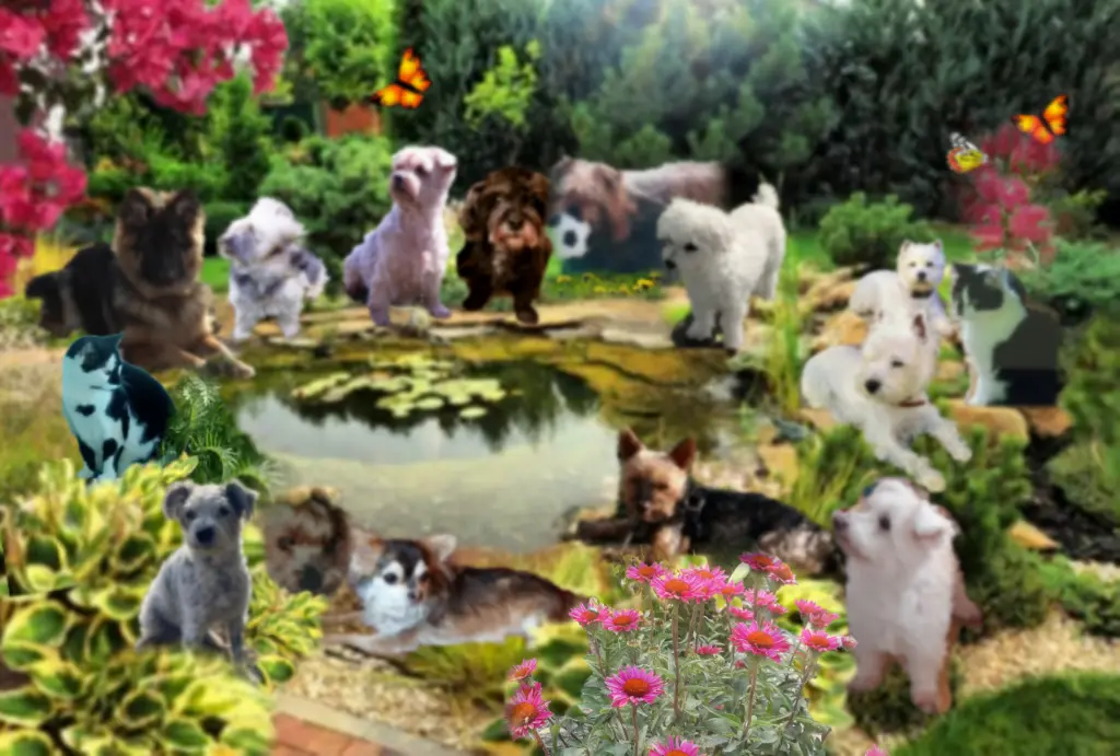 Condolence image of ❤