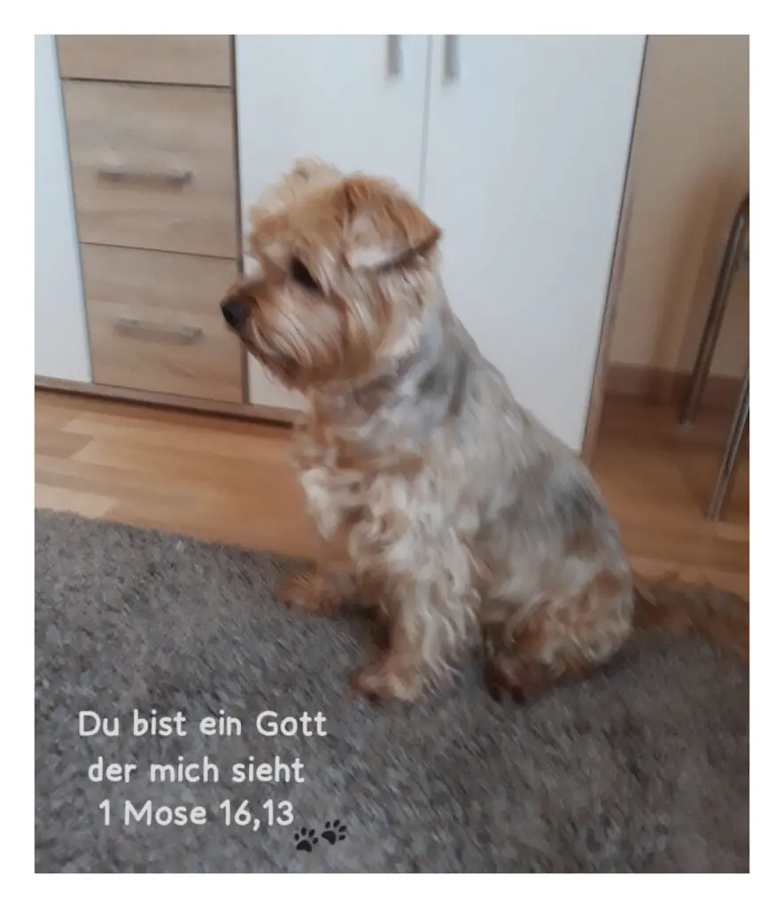 Condolence image of ♥️