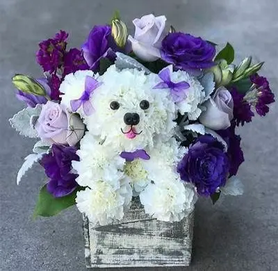 Condolence image of Martina mit Seelenhund Samy ♥️⭐♥️ für immer im Herzen