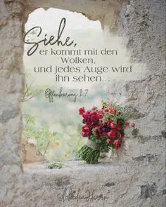 Condolence image of 35...Wochen der Sehnsucht♥️ 