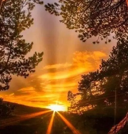 Condolence image of ♥️