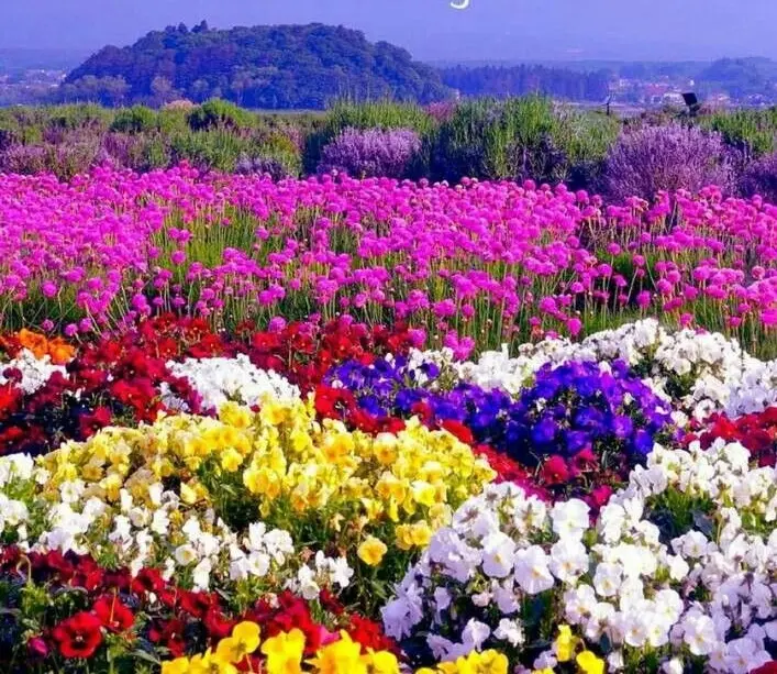 Condolence image of ♥️