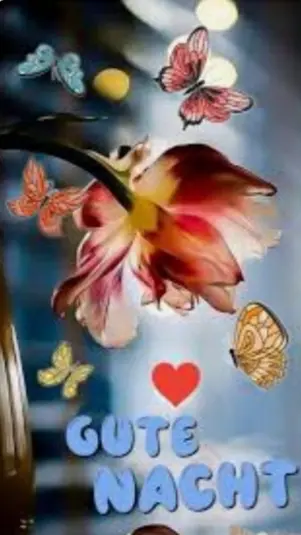 Condolence image of ⭐❤Gute Nacht Jackusiu❤⭐
