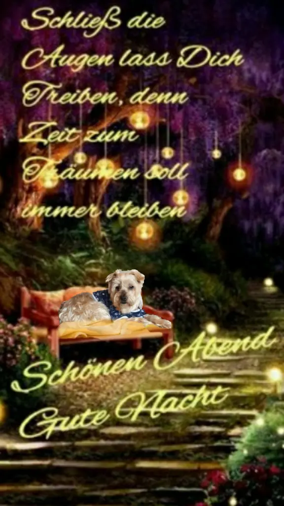 Condolence image of ⭐❤Gute Nacht Jackusiu❤⭐