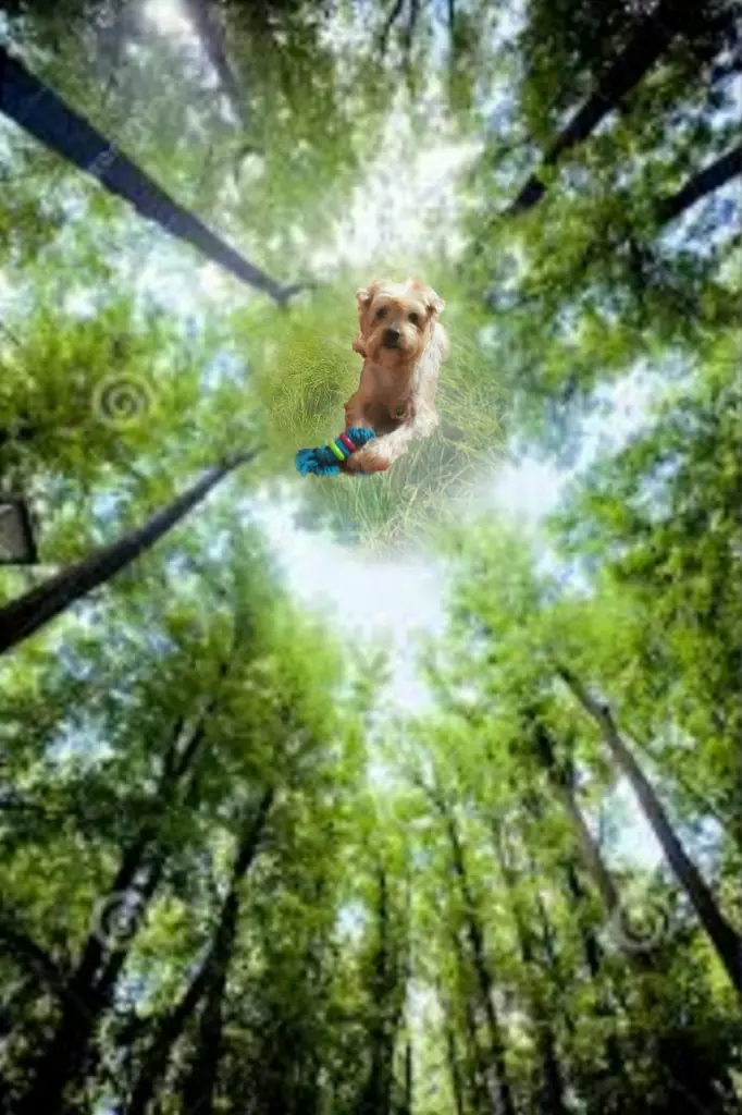 Condolence image of ❤