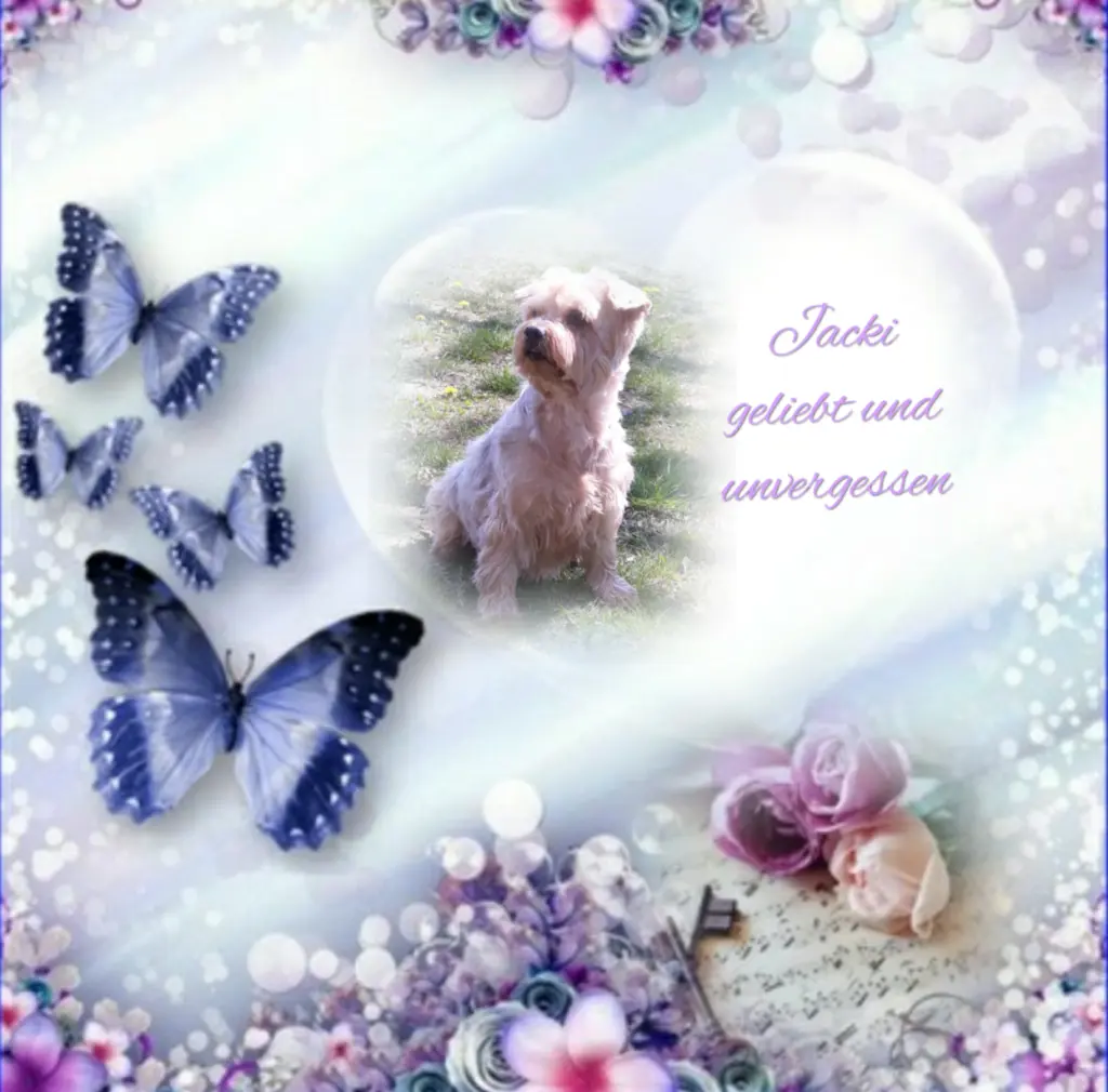 Condolence image of ⭐❤Gute Nacht Jackusiu❤⭐