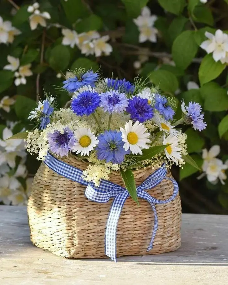 Condolence image of Martina mit Seelenhund Samy ♥️⭐♥️ für immer im Herzen 