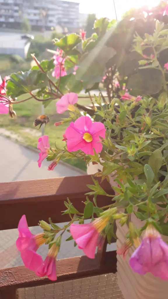 Condolence image of Ewa & Krzysztof 