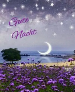 Condolence image of ⭐❤Gute Nacht Jackusiu❤⭐