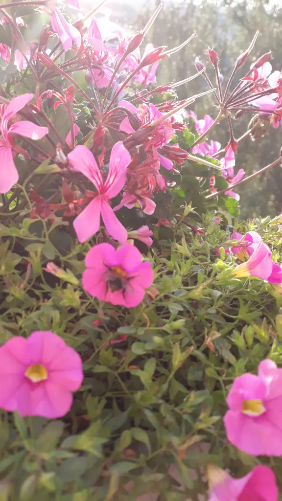 Condolence image of ⭐❤Gute Nacht Jackusiu❤⭐