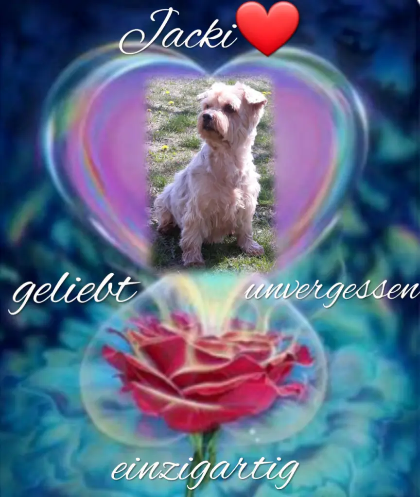 Condolence image of ⭐❤Gute Nacht Jackusiu❤⭐