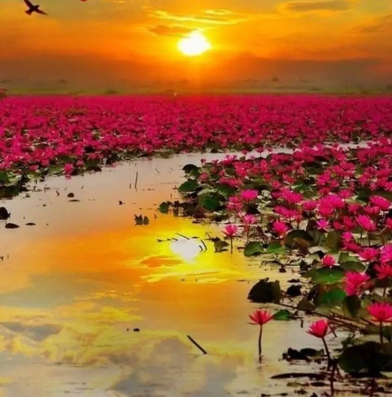 Condolence image of  ❤️