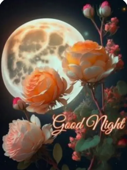 Condolence image of ⭐❤Gute Nacht Jackusiu❤⭐