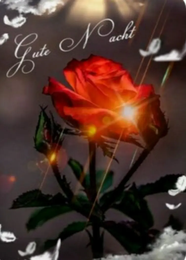 Condolence image of ⭐❤Gute Nacht Jackuś❤⭐