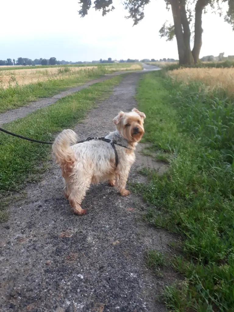 Condolence image of Ewa & Krzysztof 
