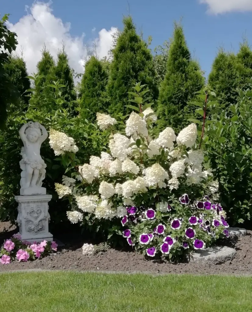 Condolence image of ❤️