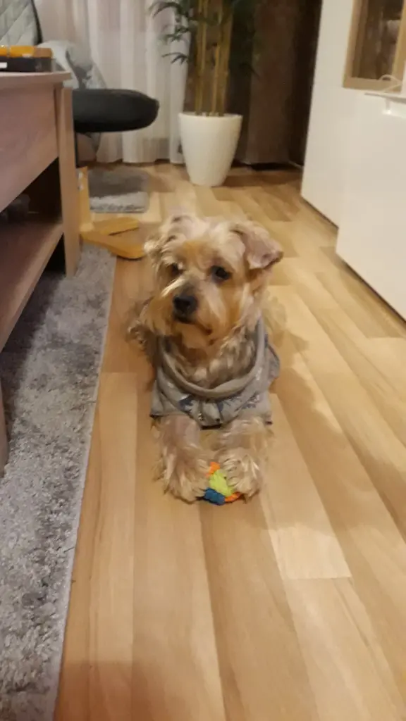 Condolence image of Ewa & Krzysztof 