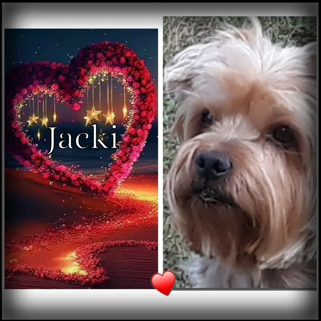 Condolence image of Ein lieber Morgengruß ♥️