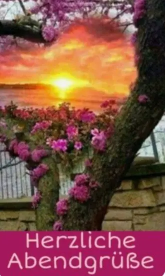 Condolence image of ⭐❤Gute Nacht Jackusiu❤⭐