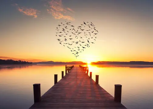 Condolence image of Gaby mit Snowy *im Herzen 