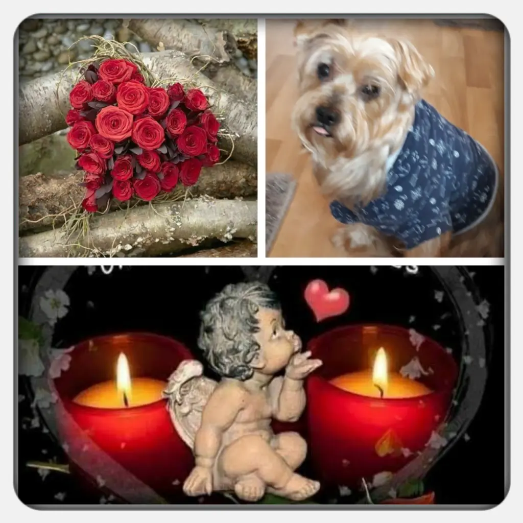 Condolence image of Ein lieber Morgengruß ♥️