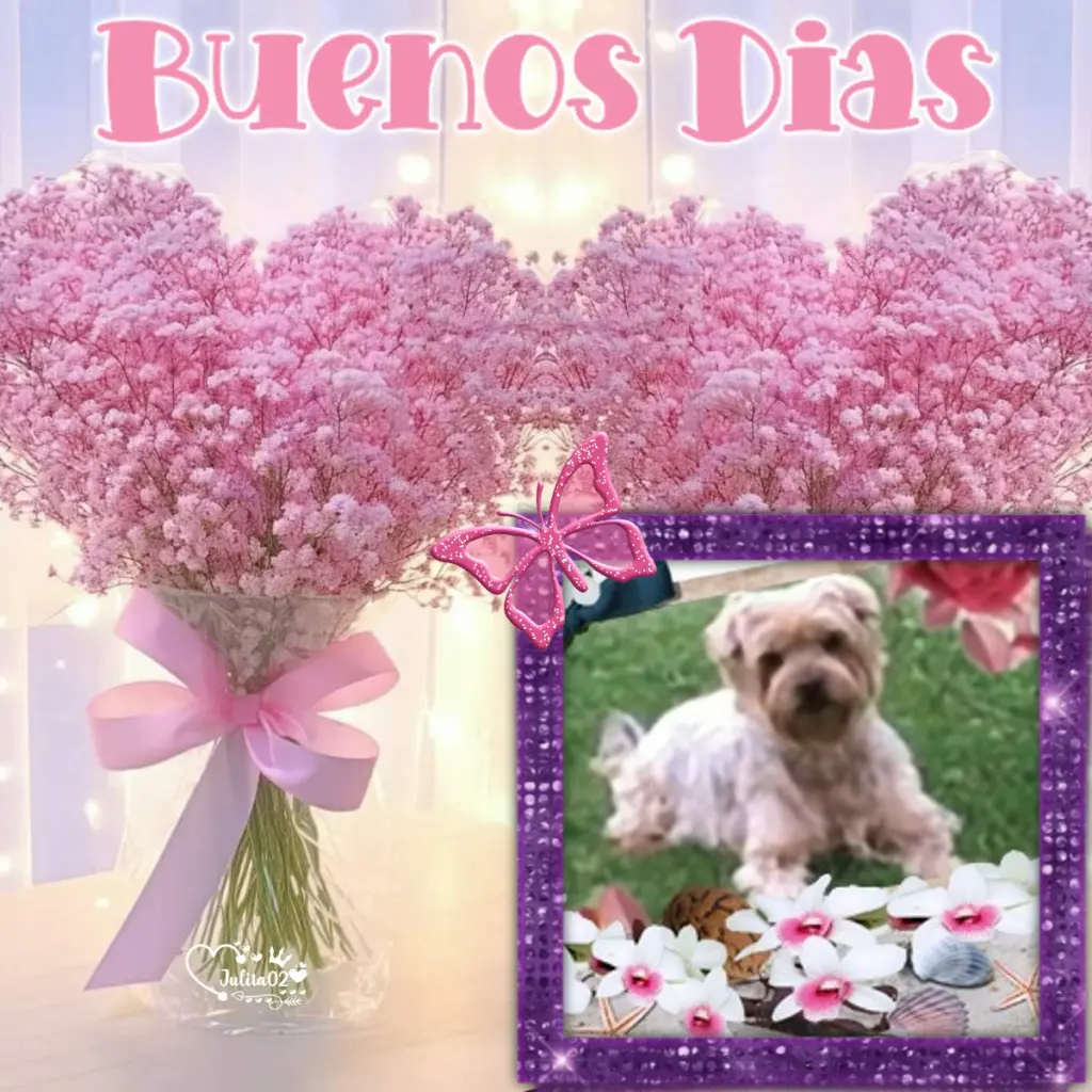 Condolence image of 38. Tygodni.....Bez Ciebie❤️⭐️Ukochany❤️❤️❤️❤️❤️❤️Jackusiu❤️⭐️