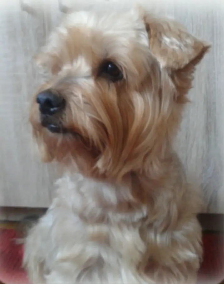 Condolence image of Ewa & Krzysztof 